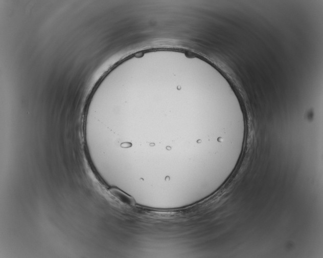 X0000115181342200912091038