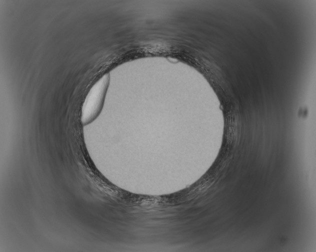 X0000115181345200912091037