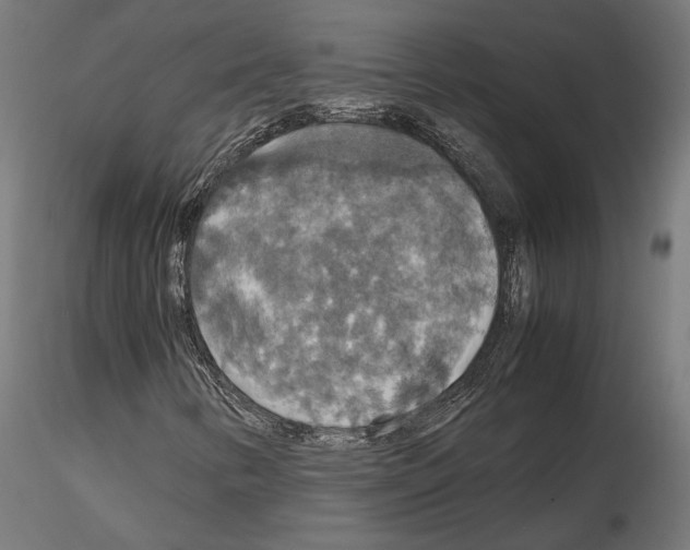 X0000115181346200912091037