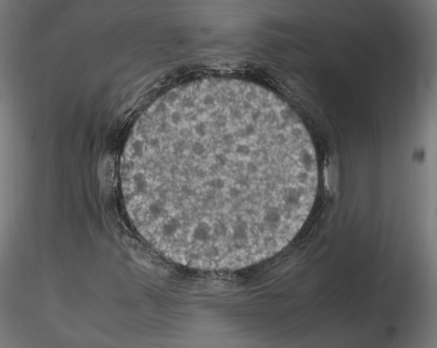X0000115181347200912091037