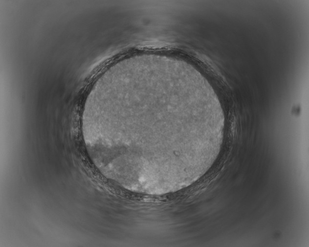 X0000115181350200912091037