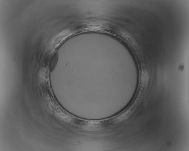 X0000115181353200912091037
