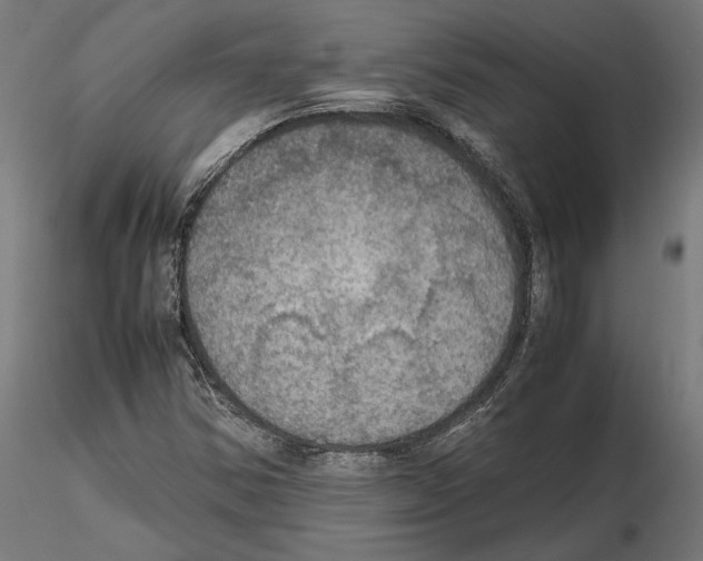 X0000115181354200912091037