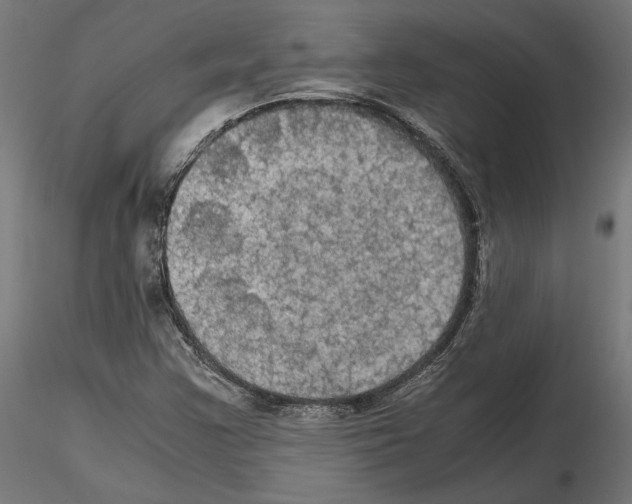 X0000115181355200912091037