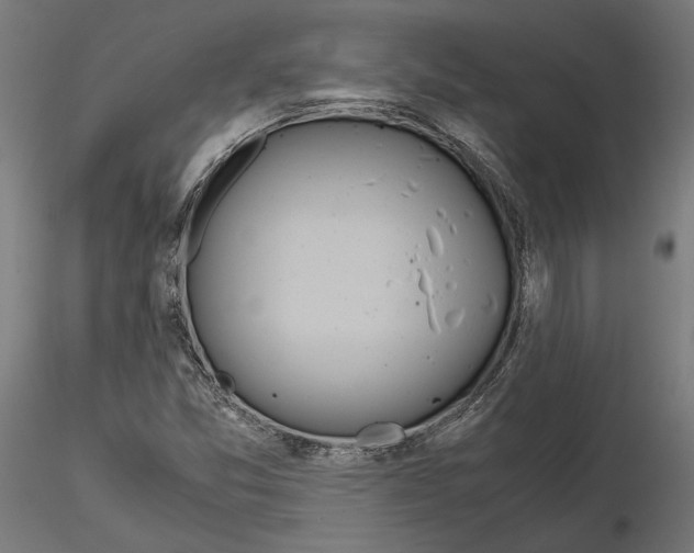 X0000115181357200912091037