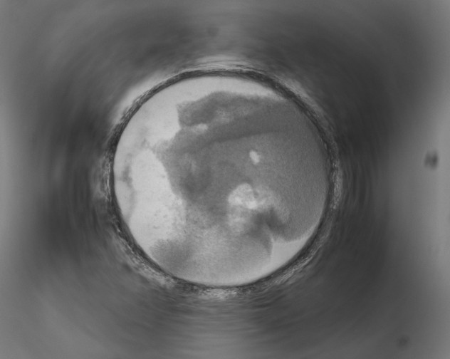 X0000115181358200912091037