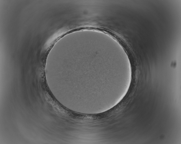 X0000115181359200912091037