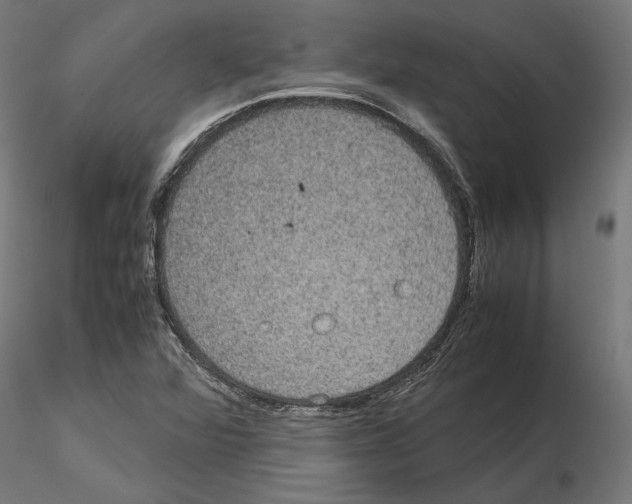 X0000115181360200912091037