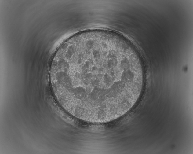 X0000115181363200912091037