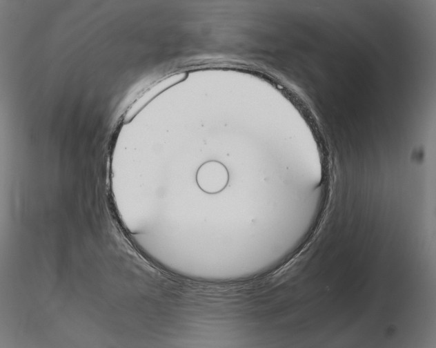 X0000115181365200912091037