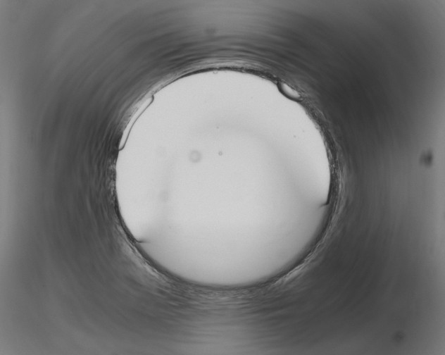 X0000115181369200912091037