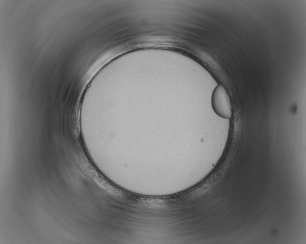 X0000115181370200912091037