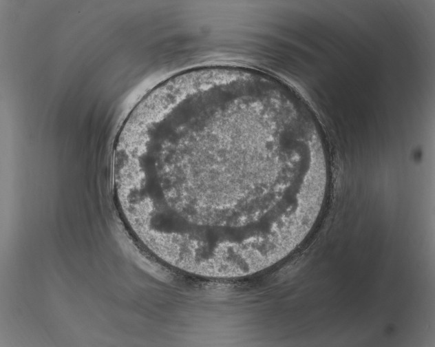 X0000115181371200912091037