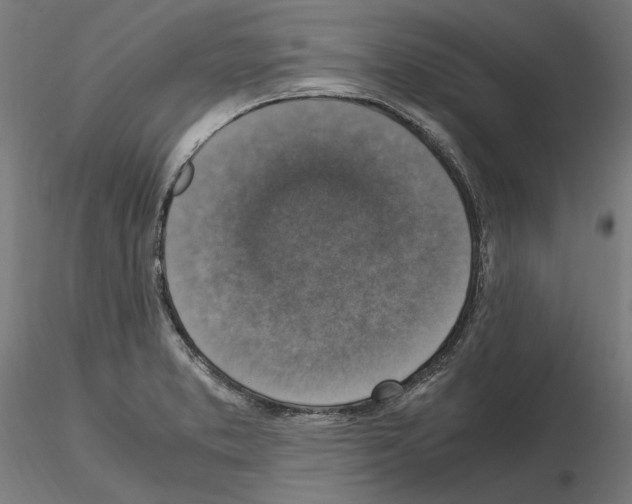 X0000115181373200912091037