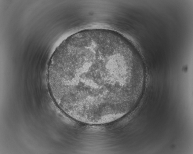 X0000115181374200912091037