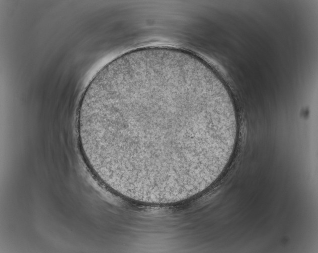 X0000115181375200912091037