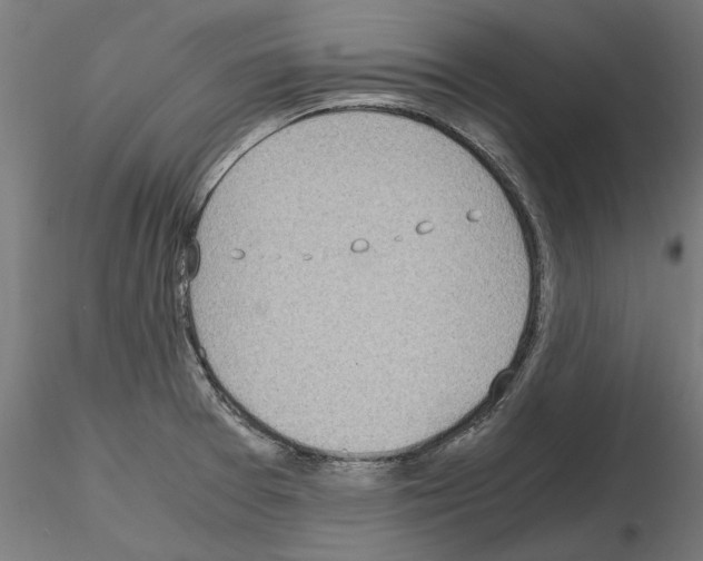 X0000115181377200912091037