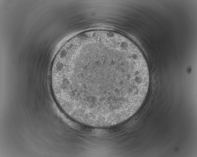 X0000115181379200912091037
