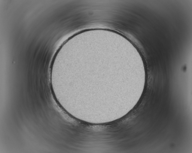 X0000115181380200912091037