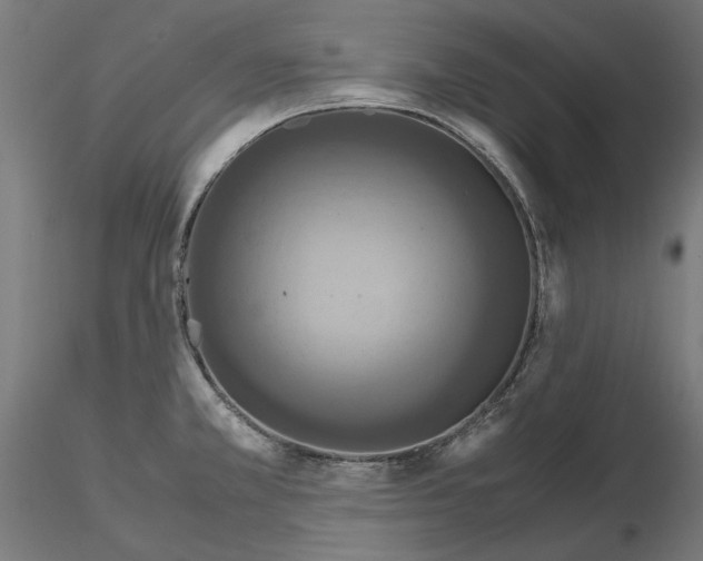 X0000115181381200912091037