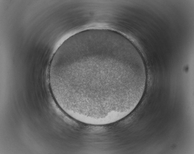X0000115181382200912091036