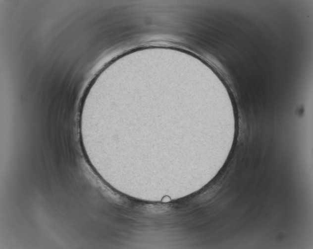 X0000115181384200912091036