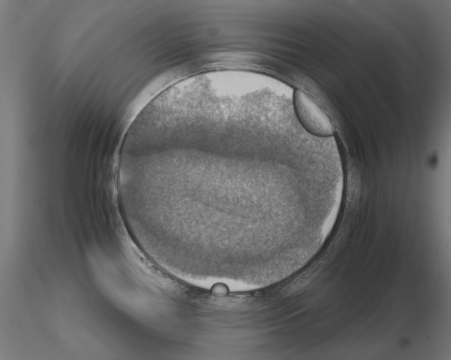 X0000115181386200912091036