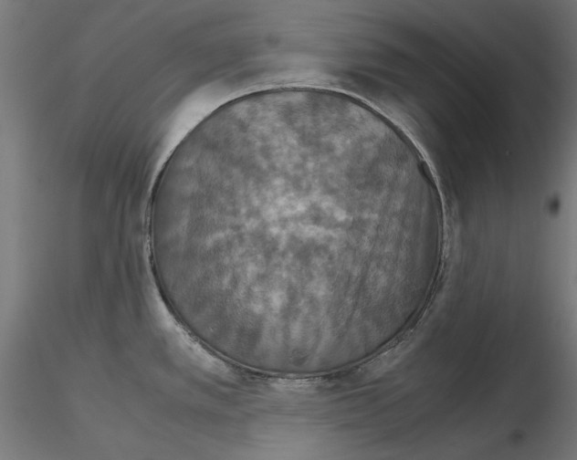 X0000115181389200912091036