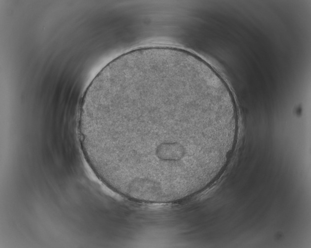 X0000115181390200912091036