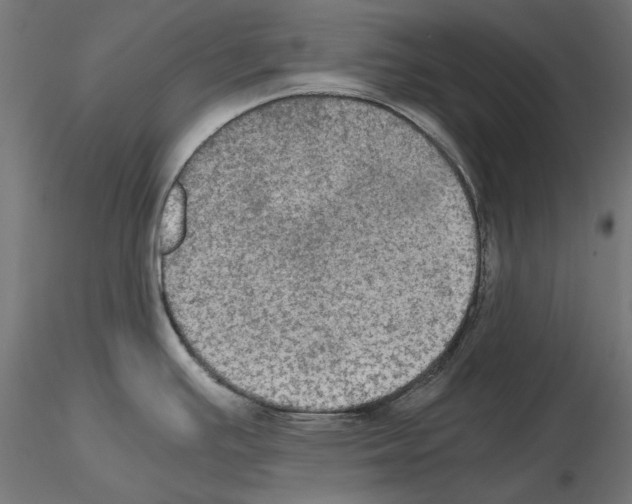X0000115181391200912091036