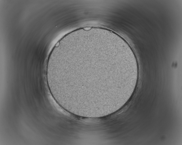 X0000115181392200912091036