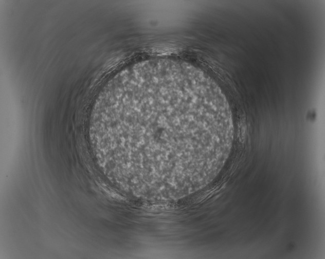 X0000115181393200912091036