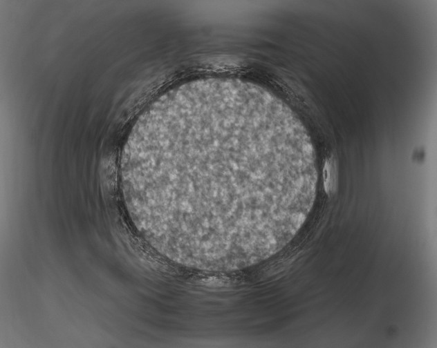 X0000115181395200912091036