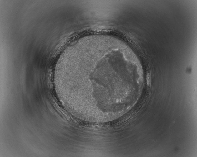 X0000115181396200912091036