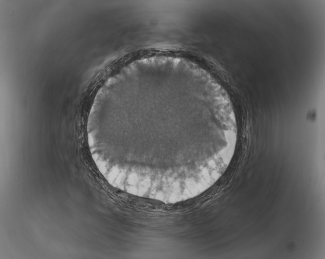 X0000115181398200912091036