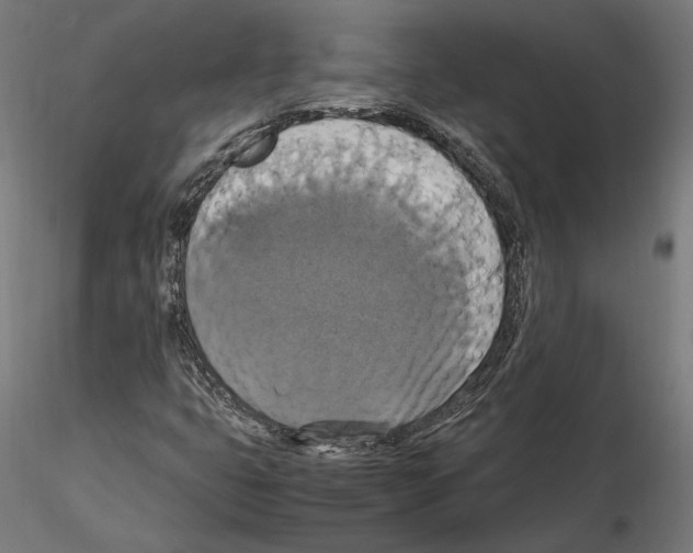X0000115181399200912091036
