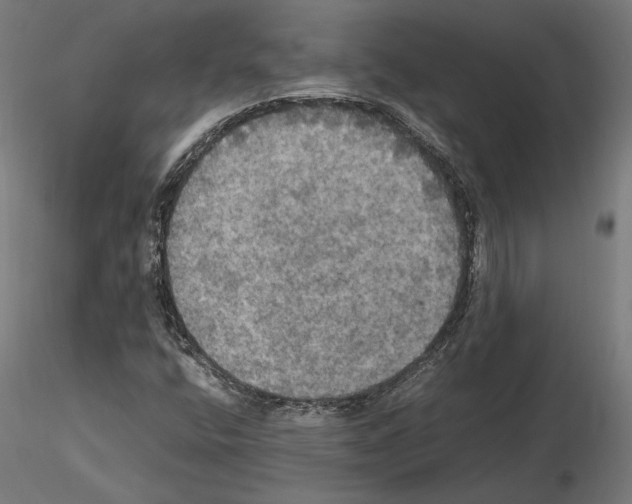 X0000115181400200912091036
