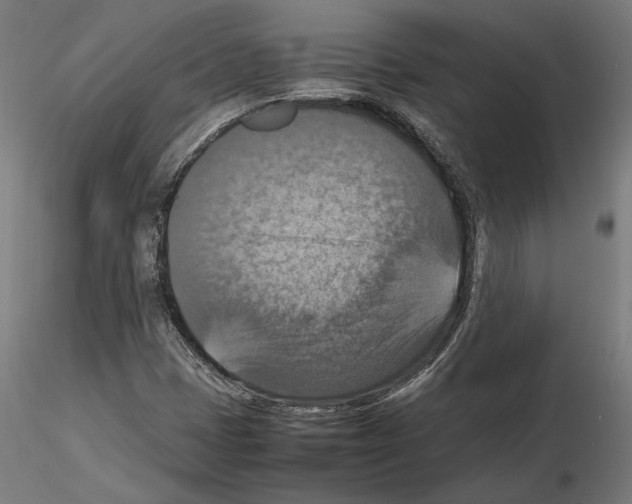 X0000115181401200912091036