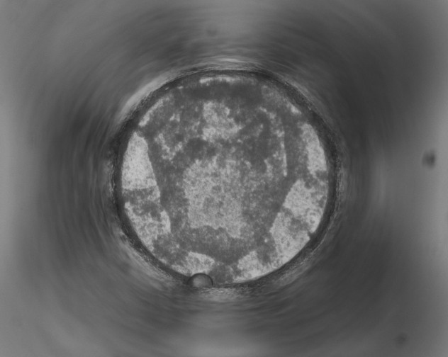 X0000115181402200912091036