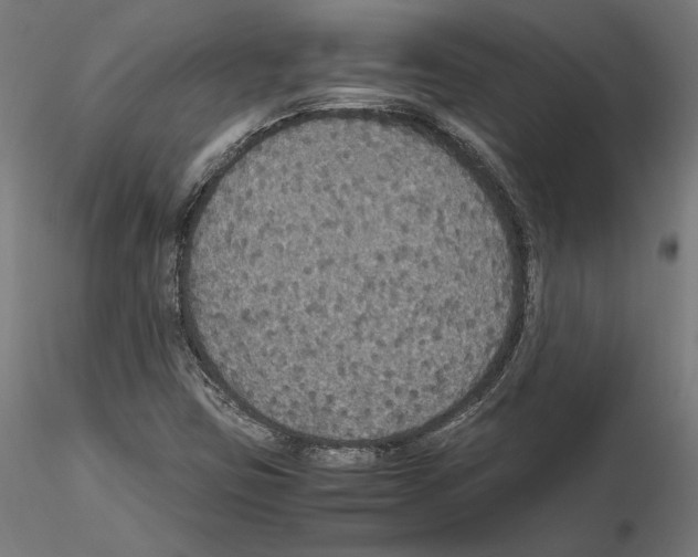 X0000115181403200912091036