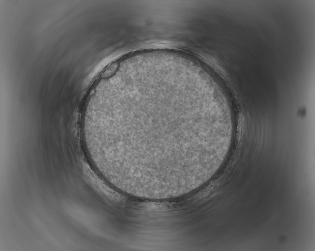 X0000115181404200912091036