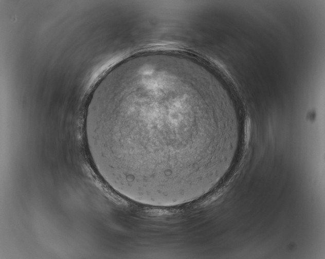 X0000115181405200912091036
