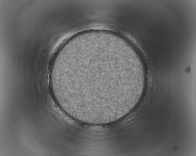 X0000115181408200912091036