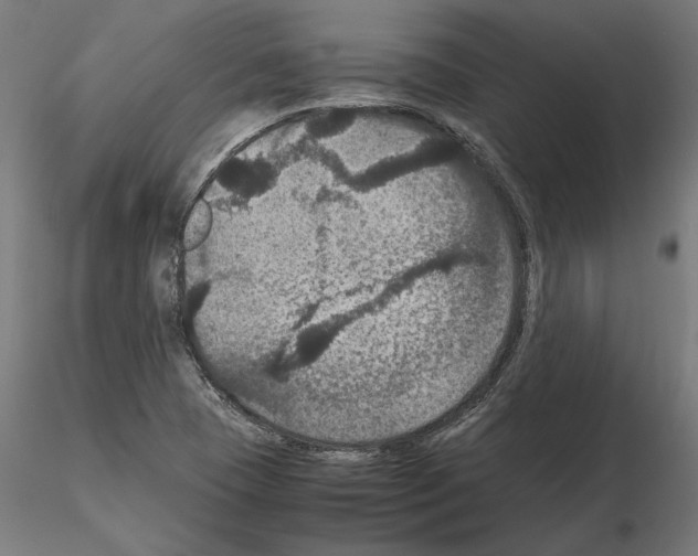 X0000115181409200912091036