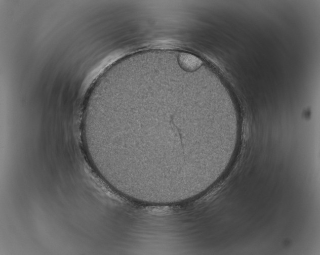 X0000115181410200912091036