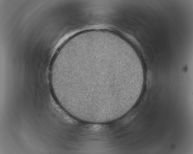 X0000115181412200912091036
