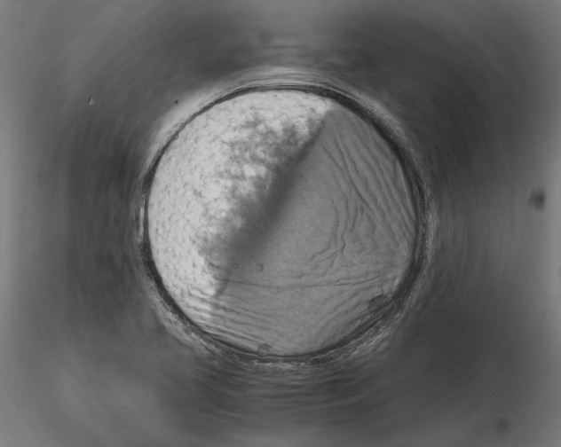 X0000115181413200912091036