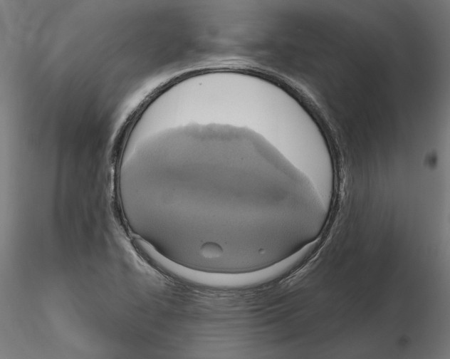 X0000115181414200912091036