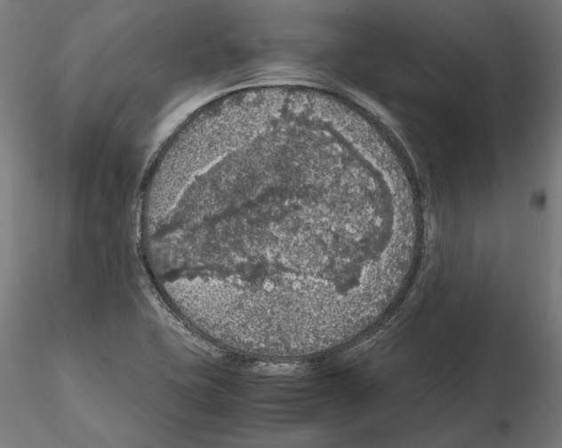 X0000115181415200912091036