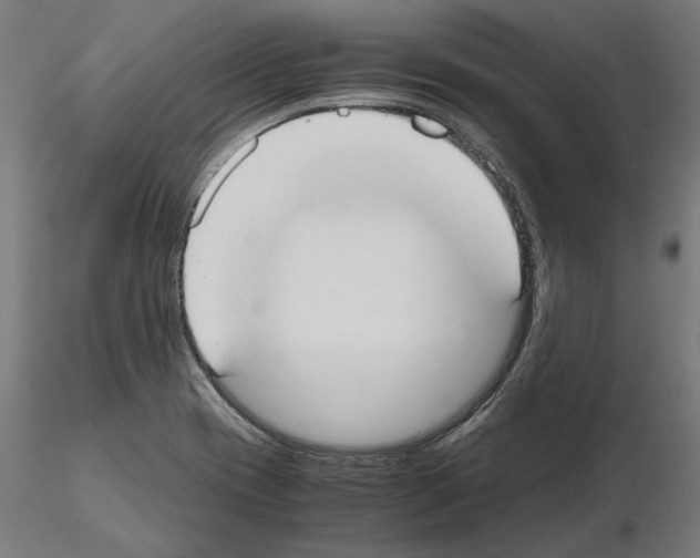 X0000115181417200912091036